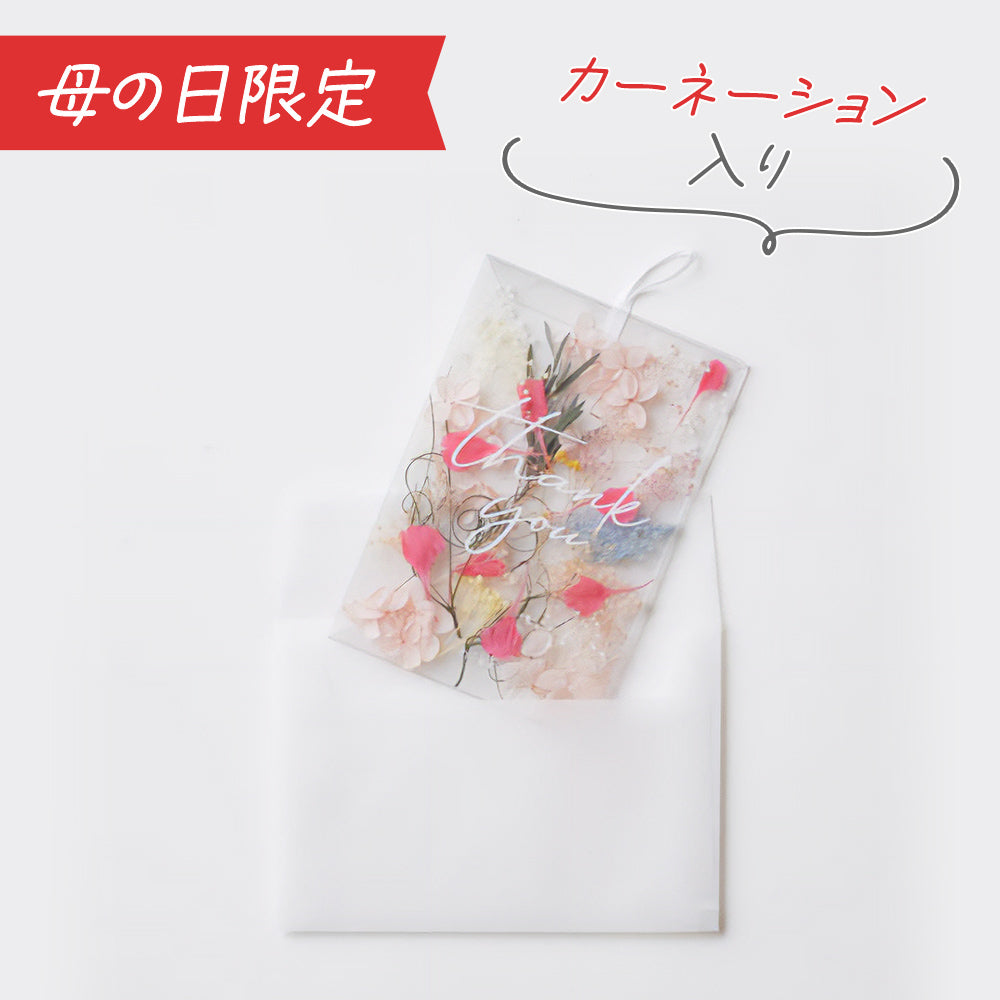 母の日数量限定】Thank you メッセージカード 花びら カーネーション