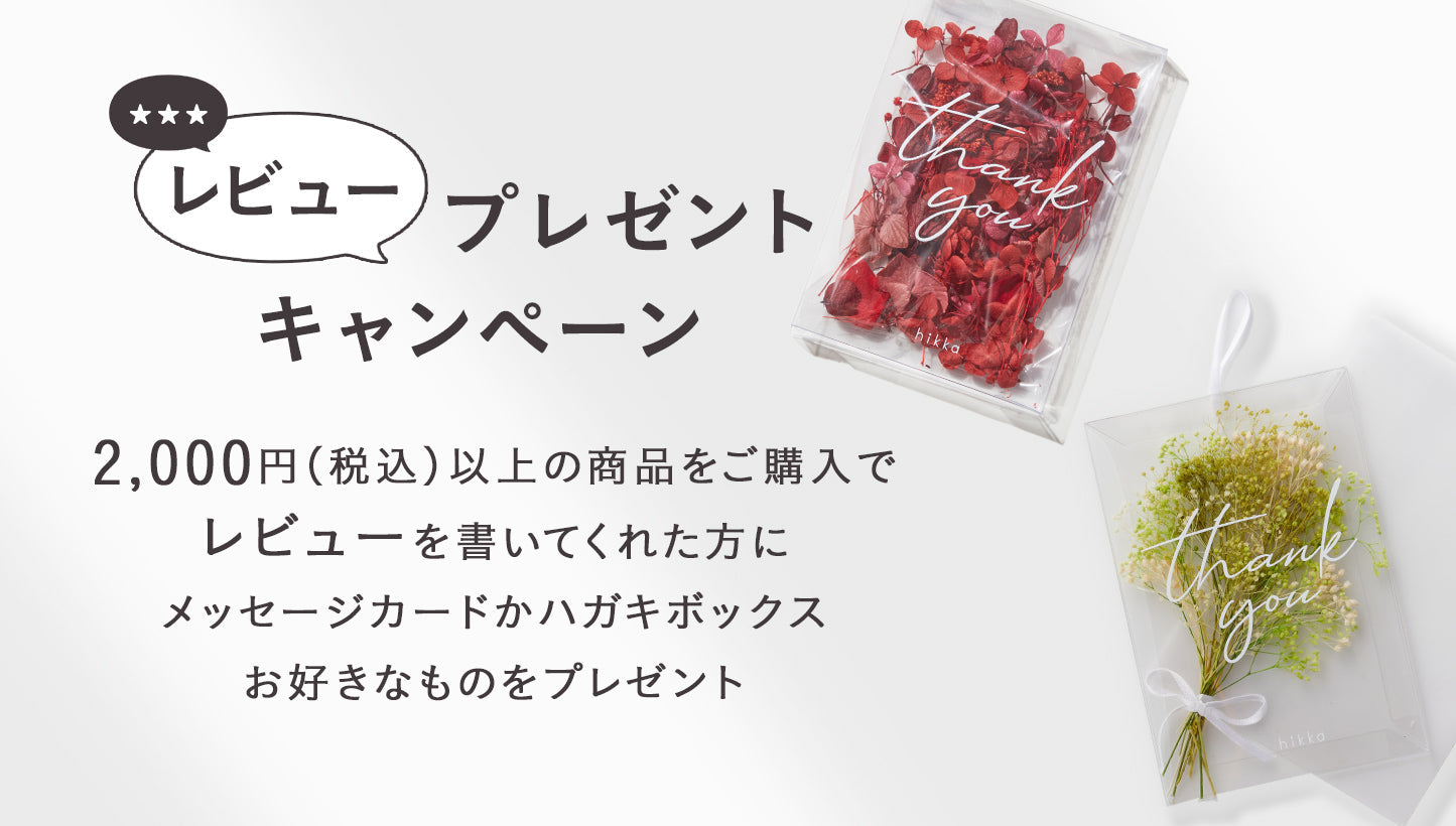レビューキャンペーン