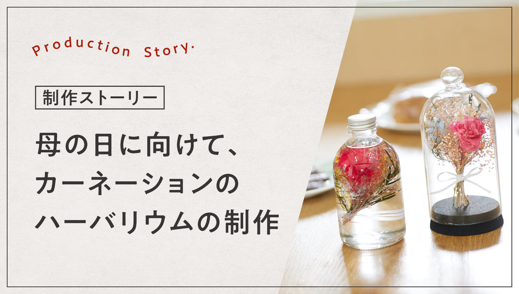 母の日に向けて カーネーションのハーバリウムの制作 – hikka