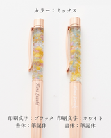 【名入れ】10colorsボールペン