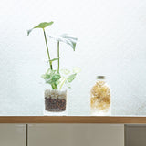 ハーバリウム バースカラー 誕生石