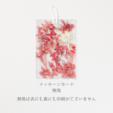 【手作りキット】メッセージカード 花びら【封筒付】