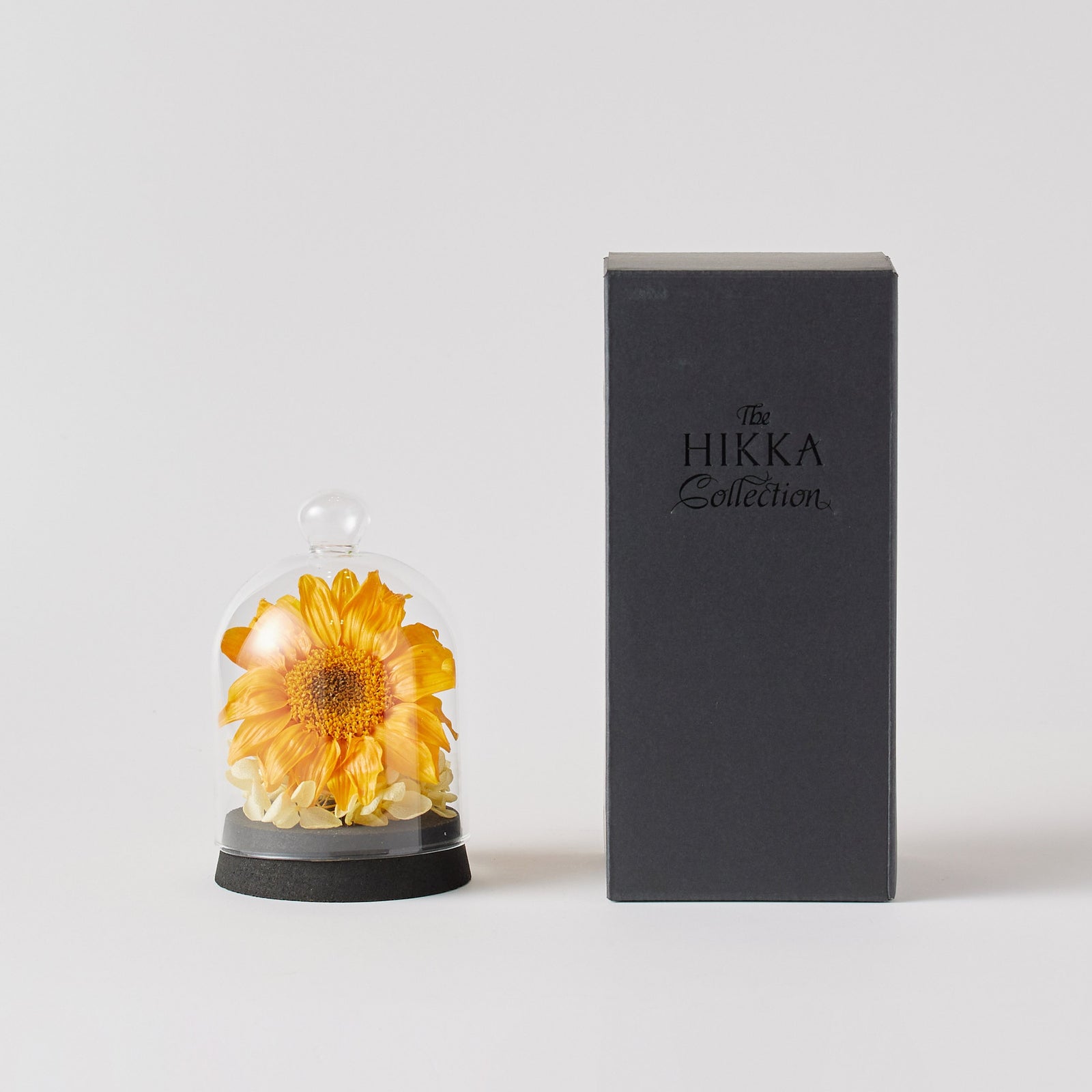 期間数量限定】ガラスドームXSひまわり – hikka