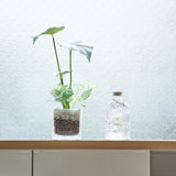 ハーバリウム バースカラー 誕生石