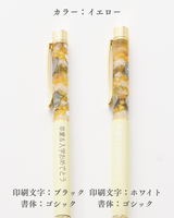 【名入れ】10colorsボールペン