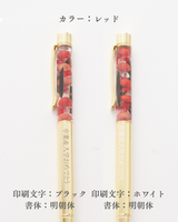 【名入れ】10colorsボールペン