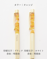 【名入れ】10colorsボールペン
