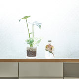 ハーバリウム ミニブーケMIX