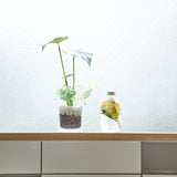 ハーバリウム ミニブーケMIX