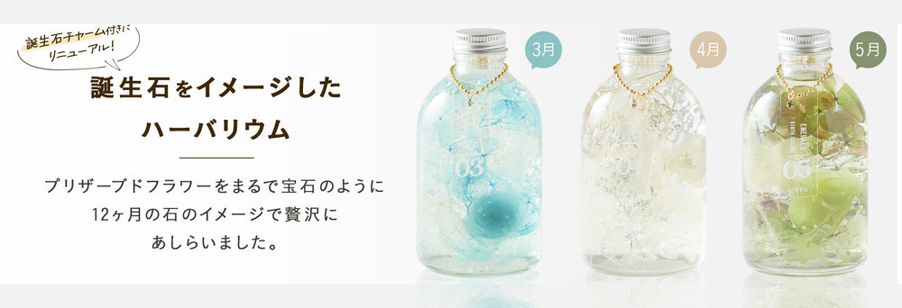 ハーバリウムとドライフラワー～花の専門店～ | hikka 公式サイト