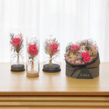 【母の日数量限定】ガラスドーム（M）カーネーション