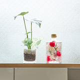 【母の日数量限定】 ハーバリウム プリズムボトル カーネーション