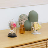 【母の日数量限定】ガラスドーム（M）カーネーション