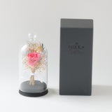 【母の日数量限定】ガラスドーム（M）カーネーション