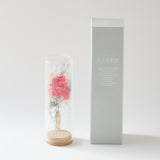 【母の日数量限定】コルクガラスビン カーネーション