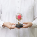 【母の日数量限定】ガラスドーム（M）カーネーション