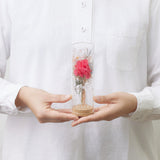 【母の日数量限定】コルクガラスビン カーネーション