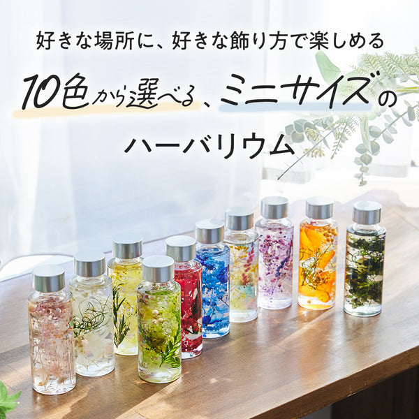 10colors ハーバリウム