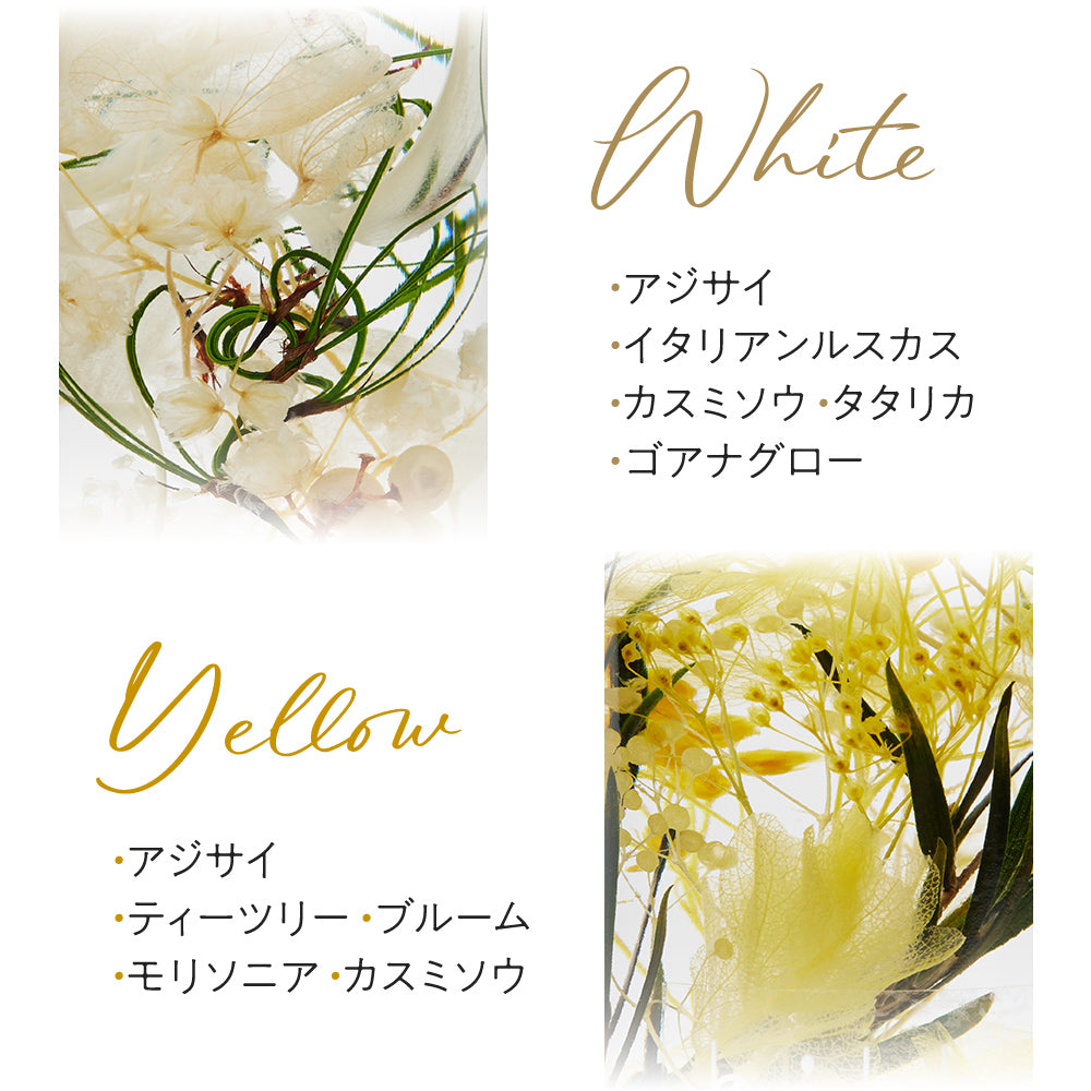 10colors ハーバリウム – hikka