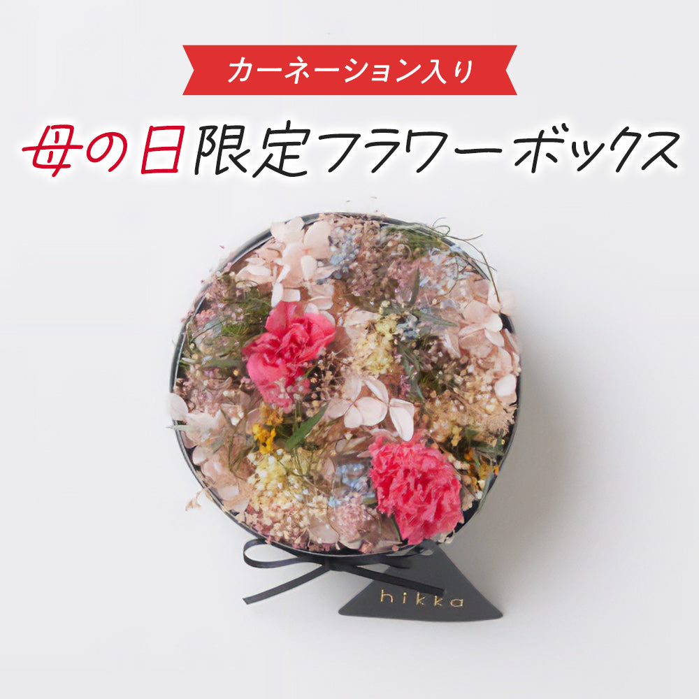 母の日数量限定】ラウンド フラワーボックス (M) カーネーション – hikka