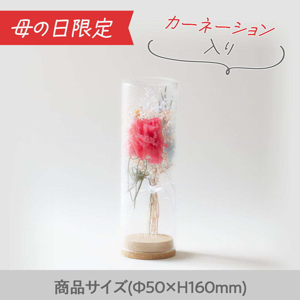 母の日数量限定】コルクガラスビン カーネーション – hikka