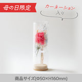 【母の日数量限定】コルクガラスビン カーネーション