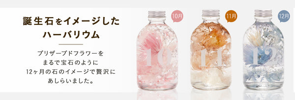 img_bd10_pc_600x.jpg?v=1727761829