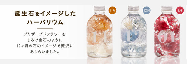 img_bd11_pc_600x.jpg?v=1730434382