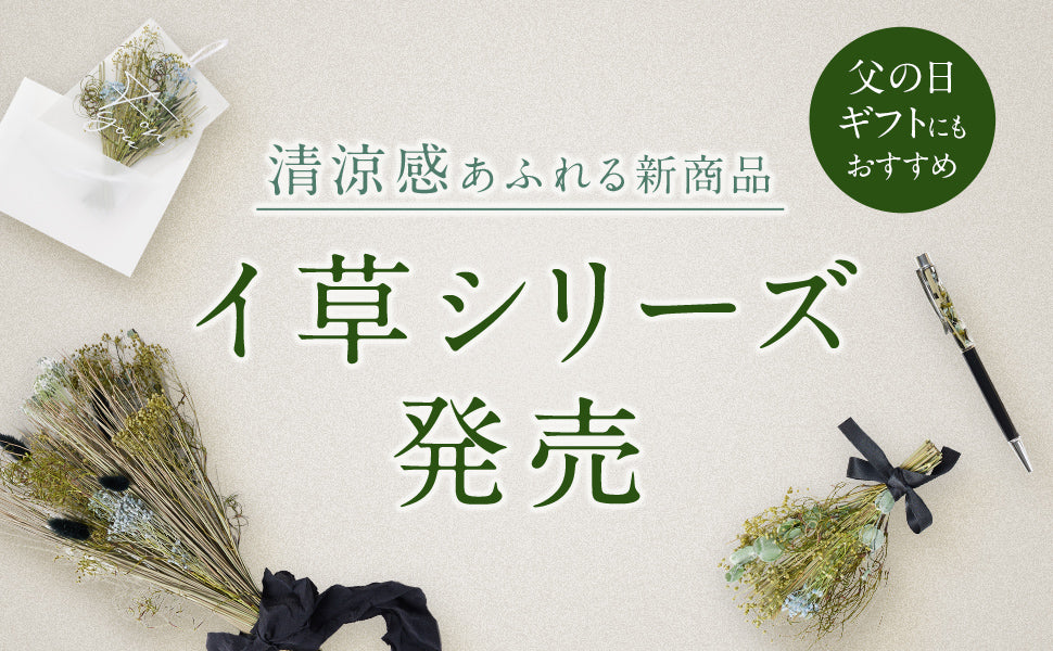 イ草シリーズ発売