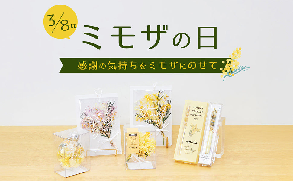 ミモザの日