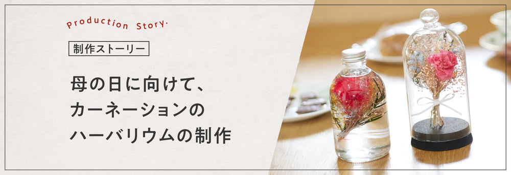 ハーバリウムとドライフラワー～花の専門店～ | hikka 公式サイト